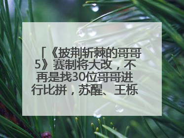 《披荆斩棘的哥哥5》赛制将大改，不再是找30位哥哥进行比拼，苏醒、王栎鑫、王铮亮、张远等多名男团选手被曝将参加