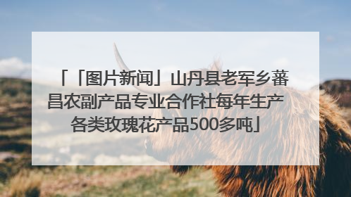 「图片新闻」山丹县老军乡蕃昌农副产品专业合作社每年生产各类玫瑰花产品500多吨