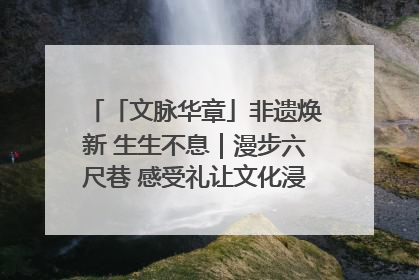 「文脉华章」非遗焕新 生生不息｜漫步六尺巷 感受礼让文化浸润的“巷”往生活