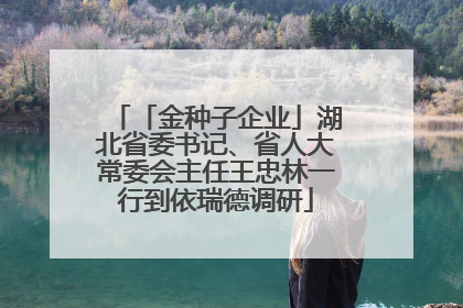 「金种子企业」湖北省委书记、省人大常委会主任王忠林一行到依瑞德调研