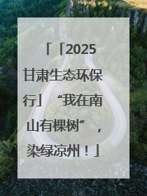 「2025甘肃生态环保行」“我在南山有棵树”，染绿凉州！