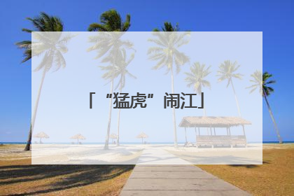 “猛虎”闹江