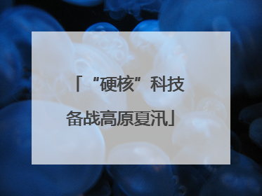 “硬核”科技备战高原夏汛