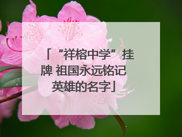 “祥榕中学”挂牌 祖国永远铭记英雄的名字
