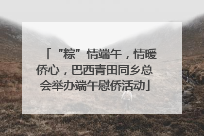 “粽”情端午，情暖侨心，巴西青田同乡总会举办端午慰侨活动