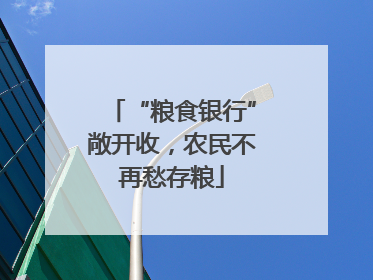 “粮食银行”敞开收，农民不再愁存粮