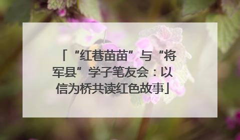 “红巷苗苗”与“将军县”学子笔友会：以信为桥共读红色故事