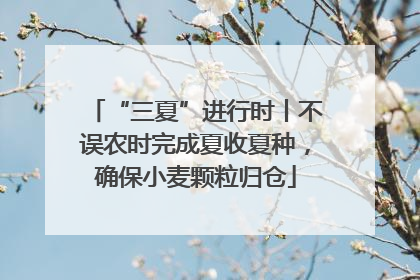 “三夏”进行时丨不误农时完成夏收夏种，确保小麦颗粒归仓