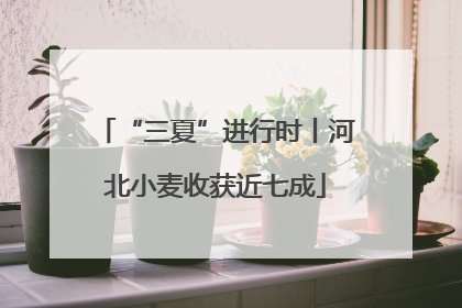 “三夏”进行时丨河北小麦收获近七成