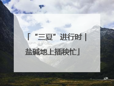 “三夏”进行时｜盐碱地上插秧忙