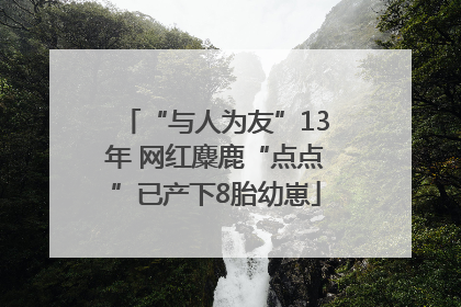 “与人为友”13年 网红麋鹿“点点”已产下8胎幼崽