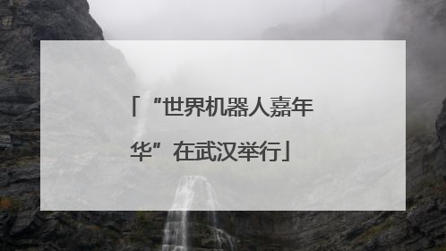 “世界机器人嘉年华”在武汉举行