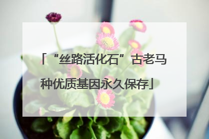 “丝路活化石”古老马种优质基因永久保存