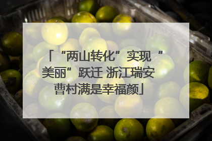 “两山转化”实现“美丽”跃迁 浙江瑞安曹村满是幸福颜