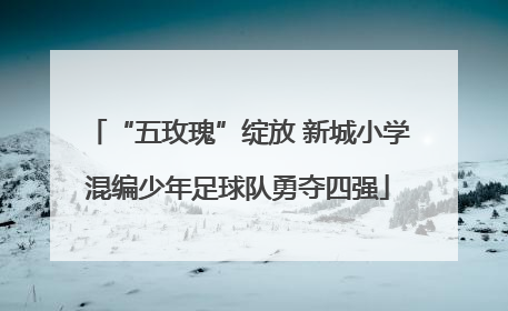 “五玫瑰”绽放 新城小学混编少年足球队勇夺四强