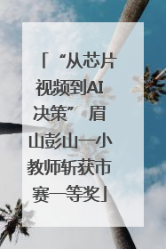 “从芯片视频到AI决策” 眉山彭山一小教师斩获市赛一等奖