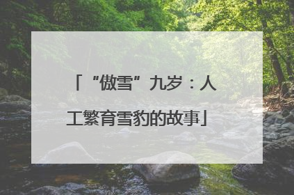 “傲雪”九岁：人工繁育雪豹的故事