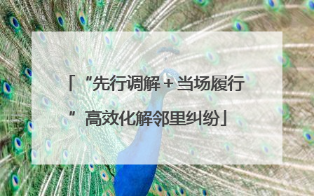 “先行调解＋当场履行”高效化解邻里纠纷