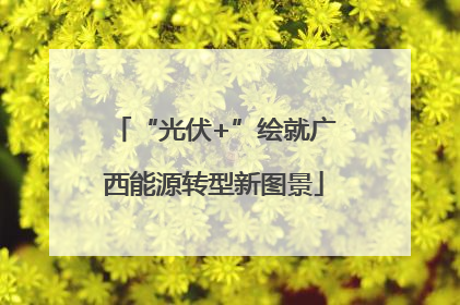 “光伏+”绘就广西能源转型新图景