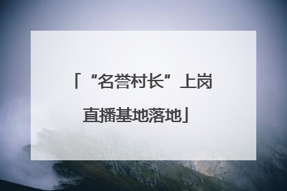 “名誉村长”上岗 直播基地落地