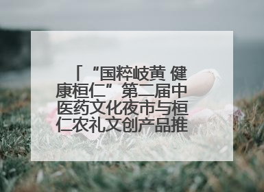 “国粹岐黄 健康桓仁”第二届中医药文化夜市与桓仁农礼文创产品推介会圆满举办