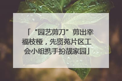 “园艺剪刀”剪出幸福枝桠，先贤苑片区工会小组携手扮靓家园