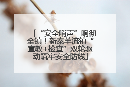 “安全哨声”响彻全镇！新泰羊流镇“宣教+检查”双轮驱动筑牢安全防线