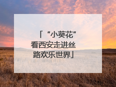 “小葵花”看西安走进丝路欢乐世界
