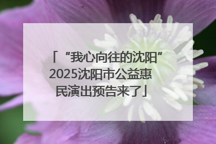 “我心向往的沈阳”2025沈阳市公益惠民演出预告来了