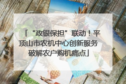 “政银保担”联动！平顶山市农机中心创新服务破解农户购机痛点