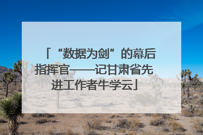 “数据为剑”的幕后指挥官——记甘肃省先进工作者牛学云