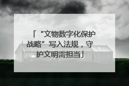 “文物数字化保护战略”写入法规，守护文明需担当