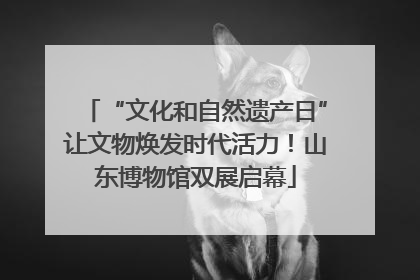 “文化和自然遗产日”让文物焕发时代活力！山东博物馆双展启幕