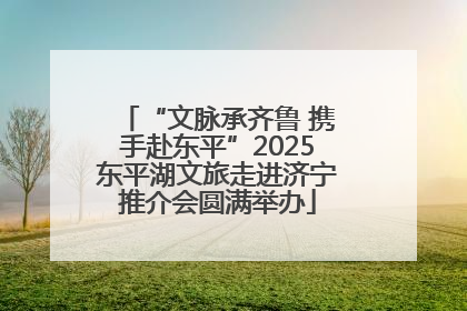 “文脉承齐鲁 携手赴东平”2025东平湖文旅走进济宁推介会圆满举办
