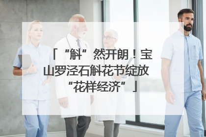 “斛”然开朗！宝山罗泾石斛花节绽放“花样经济”