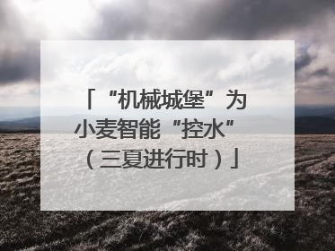 “机械城堡”为小麦智能“控水”（三夏进行时）