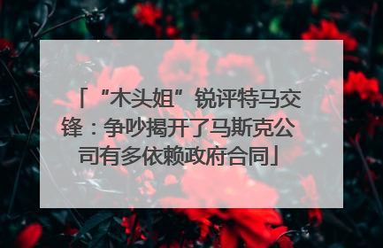 “木头姐”锐评特马交锋：争吵揭开了马斯克公司有多依赖政府合同