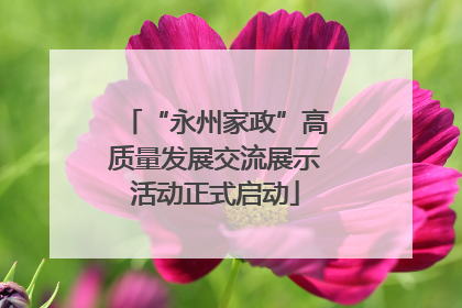 “永州家政”高质量发展交流展示活动正式启动