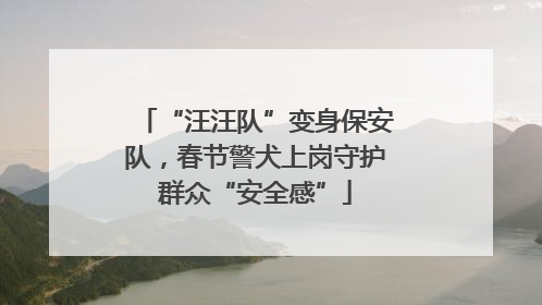 “汪汪队”变身保安队，春节警犬上岗守护群众“安全感”