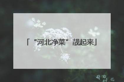 “河北净菜”靓起来