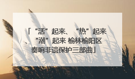 “活”起来、“热”起来、“潮”起来 榆林榆阳区奏响非遗保护三部曲
