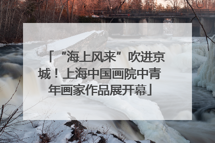 “海上风来”吹进京城！上海中国画院中青年画家作品展开幕