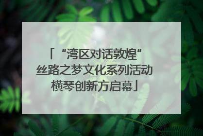 “湾区对话敦煌” 丝路之梦文化系列活动横琴创新方启幕
