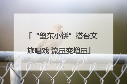 “肇东小饼”搭台文旅唱戏 流量变增量