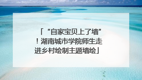 “自家宝贝上了墙”！湖南城市学院师生走进乡村绘制主题墙绘