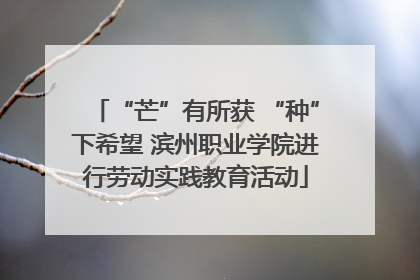 “芒”有所获 “种”下希望 滨州职业学院进行劳动实践教育活动