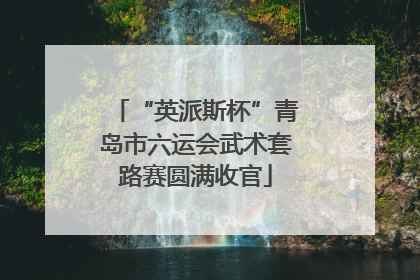 “英派斯杯”青岛市六运会武术套路赛圆满收官