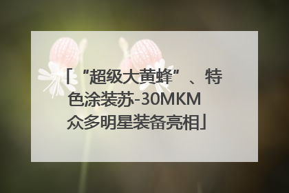 “超级大黄蜂”、特色涂装苏-30MKM 众多明星装备亮相