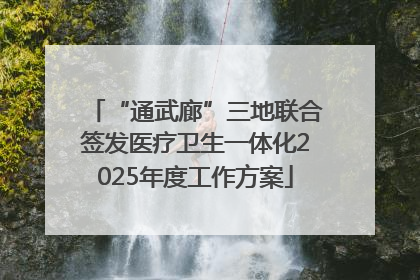 “通武廊”三地联合签发医疗卫生一体化2025年度工作方案