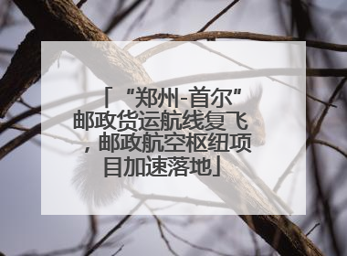 “郑州-首尔”邮政货运航线复飞，邮政航空枢纽项目加速落地